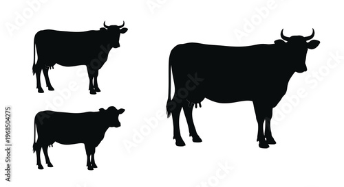 Three black cattle stand in a field depicted as a silhouette
