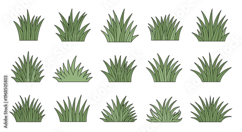 Assorted vector illustrations showing different styles and shapes of green grass tufts for landscaping and environmental design.