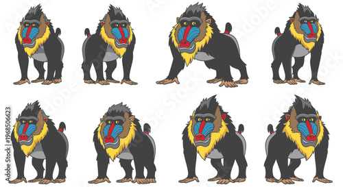 Colorful mandrill illustrations in various poses on white background  