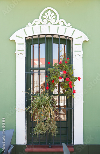 Green modernist style window decorated with flowerpots