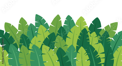 A dense cluster of overlapping green banana leaves forms a layered border across the bottom half of a white background.