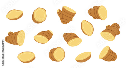 Multiple whole and sliced ginger roots in a flat cartoonish style are scattered dynamically across a plain white background.