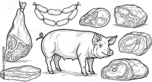 Detailed vintage illustration showcasing a healthy pig alongside various fresh pork meat cuts, including ham, sausages, and steaks, perfect for butchery, farm, and food market designs