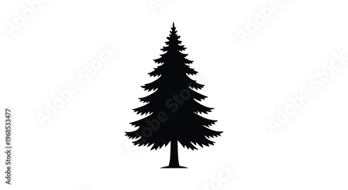 A simple black silhouette of a coniferous evergreen tree on white