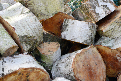 Pile of uncut birch firewood stacked outdoors. Natural birch logs with white bark in a wood heap, unprocessed and unsplit.
