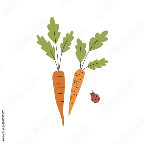Flat style illustration of carrots. Naive vector design for gardening themes and vegetable branding.