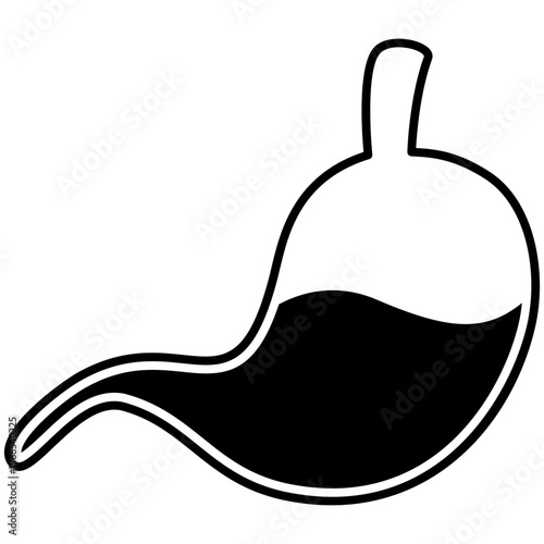 stomach body organ icon