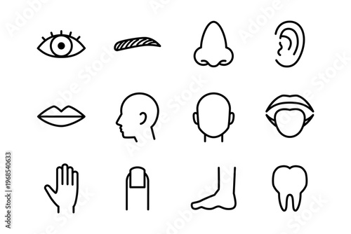 人体パーツの線画アイコン イラストセット 