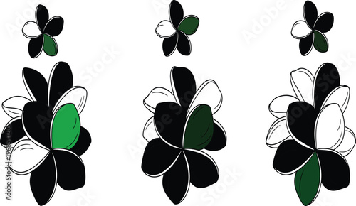 Tropical Plumeria Flower Vector Set with Black White and Green Frangipani Blossom Bouquets for Exotic Botanical Decorations, Tattoos, and Minimalist Designs