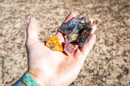 Hand Holding Colorful Petrified Wood in Petrified Forest National Park Arizona