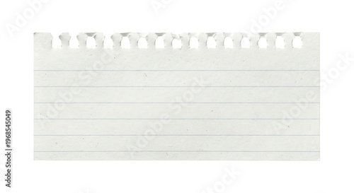 Quadro em tela Small piece of torn lined notebook paper with ring holes