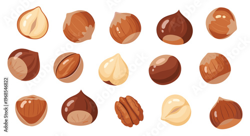A diverse assortment of fifteen individual nuts, both shelled and unshelled, is randomly scattered across a light background.