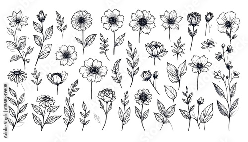 Collection of delicate floral illustrations in black and white, featuring detailed line art of flowers, buds, leaves, and sprigs
