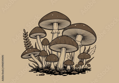 Vintage Botanical Illustration of Wild Mushrooms and Fungi in Woodcut Line Art Style, Sepia Toned Forest Toadstools Drawing for Nature and Cottagecore Designs