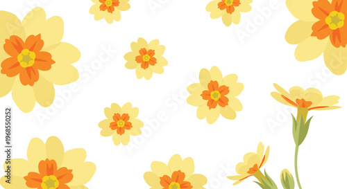Multiple yellow primrose flowers of various sizes are scattered across a plain white background.