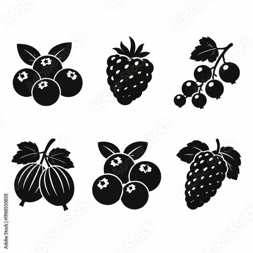 Silhouette icons of various berries including blueberries and strawberries