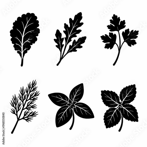 Silhouette illustrations of various herb leaves: kale, arugula, parsley, dill, basil, mint