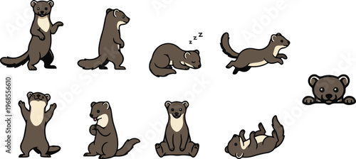 vector illustration of tayra funny cute cartoon mascot character cartoon with 9 poses