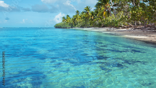 Travel background with green palm trees on caribbean beach.