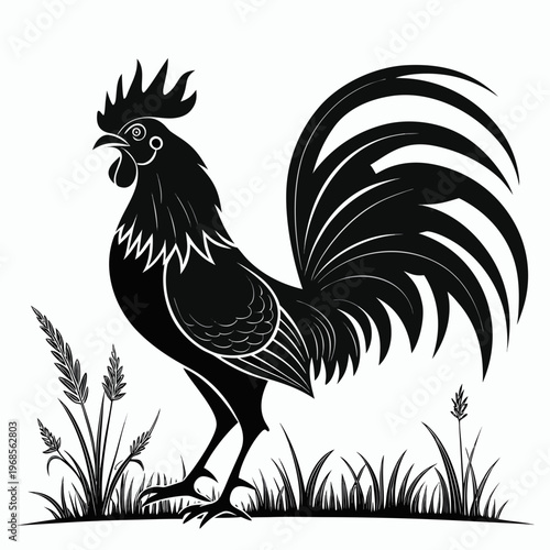 black rooster silhouette vector illustration on white background