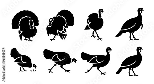Wild turkey silhouette vector set, 8 black bird icons for Thanksgiving and autumn design, farm animal poultry graphics on white background