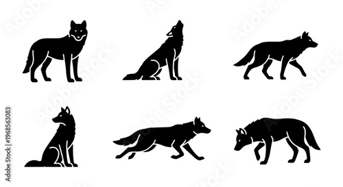 Black wolf silhouette collection, 6 wild animal vector icons, howling and running timber wolf set, minimalist forest predator graphics for logos