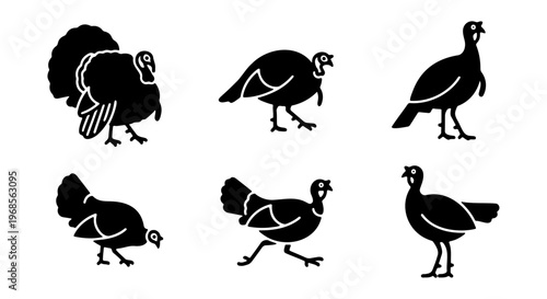 Black turkey silhouette icons set, 6 wild turkey bird vector illustrations, thanksgiving holiday poultry symbols for farm and autumn design