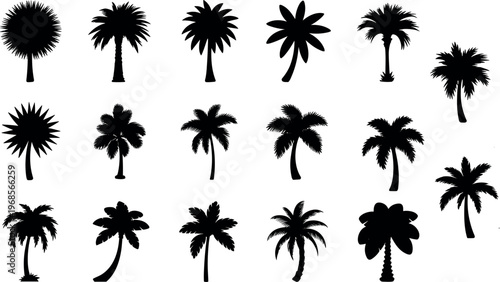 Palm tree silhouette collection featuring tropical trees in various shapes isolated on white background for summer design and nature illustration