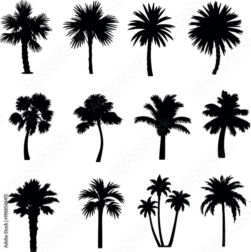 Palm tree silhouette set with diverse tropical tree shapes isolated on white background for summer beach design and nature illustration