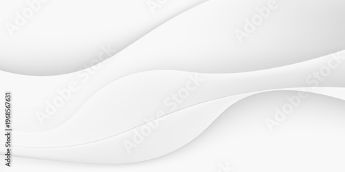 Gray color and white color and black color background abstract art vector