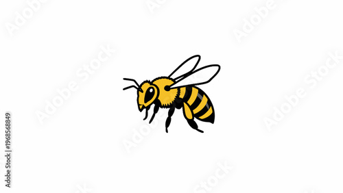 Honey bee vector illustration isolated on white background