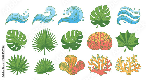 Collection of Tropical Leaves Ocean Waves and Corals.