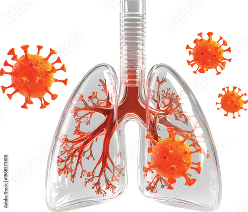 3d glass illustration of the lungs and an orange virus, white background