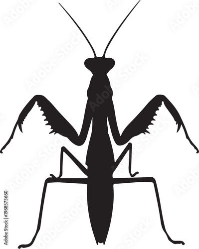 insect silhouette, black insect, bug illustration