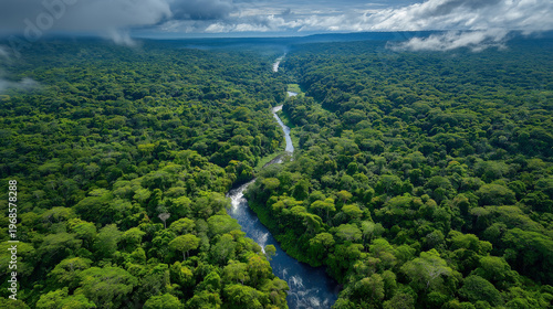 An aerial view over the continuous emerald-green canopy of the Amazon rainforest extending to every horizon, the tree canopy forming a textured carpet of infinite variations of green