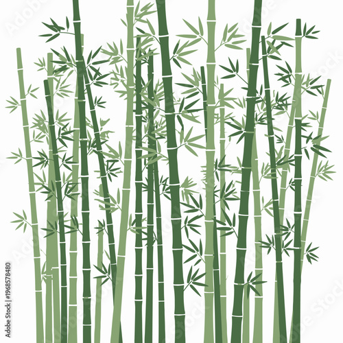 Green Bamboo Forest Illustration Background