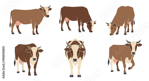 Simple vector illustration of a cow and calf set in a farm animal style isolated on white background