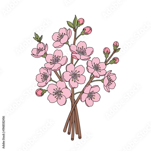 Pink Cherry Blossom Branch with Buds and Leaves, Spring Floral Illustration