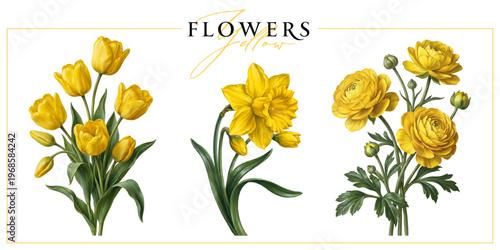 Yellow spring garden flowers isolated on a white background. Vintage painting style illustration.