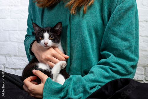 mały kotek czarno-biały na rękach