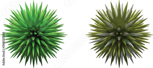 Two realistic 3D vector green and bronze colored prickly thorn balls with sharp spikes isolated on white background for abstract organic nature design concepts