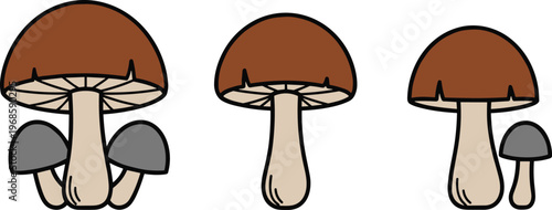 Mushroom Illustration Set with Cartoon Style Fungi Elements for Nature Design, Forest Graphics, Kids Education, and Organic Food Concept