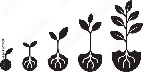 Plant Growth Stages,Seed to Tree Evolution Silhouette Vector Set