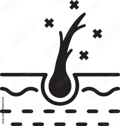 Hair follicle cross-section with signs of irritation