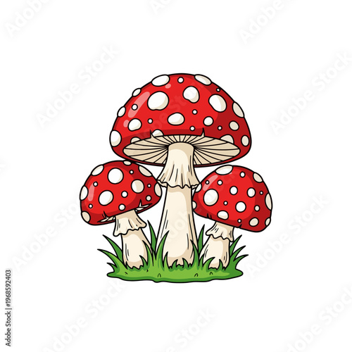 Three red mushrooms with white spots grow in green grass outdoors