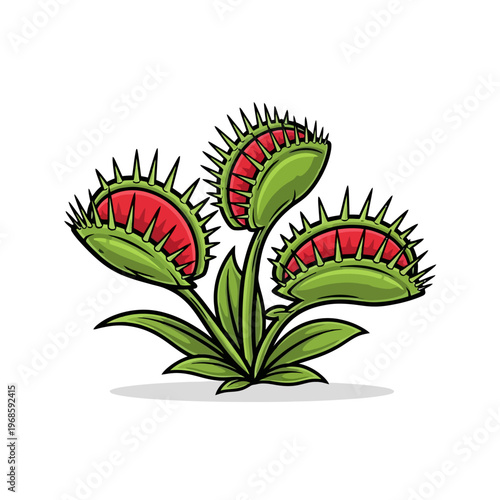 Three Venus flytraps are shown in a plant illustration.