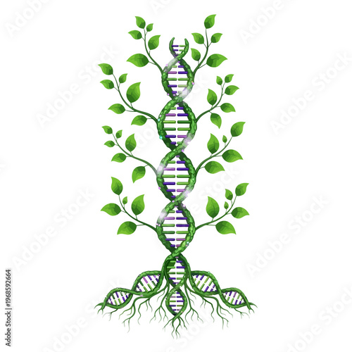 Genetic engineering illustration depicts DNA double helix forming plant roots and green leaves.