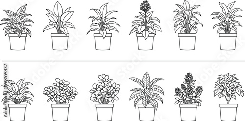 Black and white potted houseplant collection, detailed line art indoor plants set, botanical vector illustration for home decor design