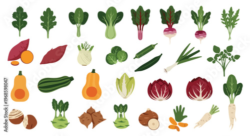 A vibrant assortment of fresh, raw vegetables and root crops, including leafy greens, squash, and legumes, on a white background.