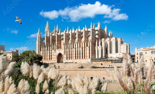 La Seu Cathedral and Parc de la Mar in Palma de Mallorca - 7952